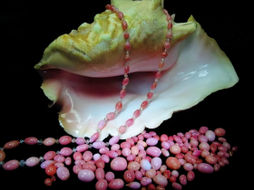 珍珠界的劳斯莱斯，一颗海螺珠价格能买一套房，它凭啥能这么贵？