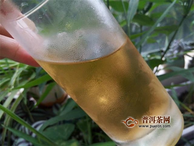 在夏天喝白茶能缓解疲劳、振奋精神