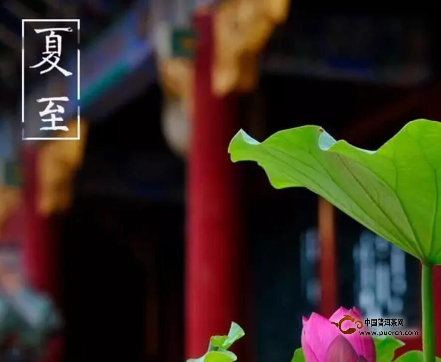 盛夏来袭,暑热难熬,一杯清茶,祛暑去燥