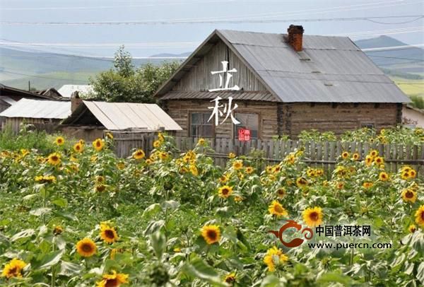 立秋节气,养生需“吃苦”,这个时候吃苦瓜、喝苦茶最是顺畅