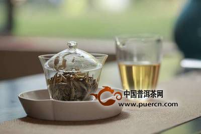 喝白茶要注意什么?有哪些禁忌呢?