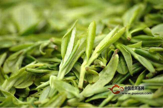 不适合喝龙井茶的人群有那些?